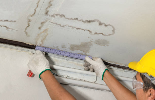 Reliable Basement Flood Cleanup contractor in San Jacinto, CA by Hirex Water Damage